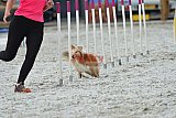 zomer wedstrijd someren zaterdag