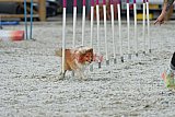 zomer wedstrijd someren zaterdag