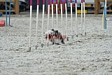 zomer wedstrijd someren zaterdag