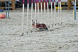 zomer wedstrijd someren zaterdag