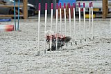 zomer wedstrijd someren zaterdag