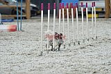 zomer wedstrijd someren zaterdag