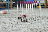 zomer wedstrijd someren zaterdag