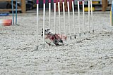 zomer wedstrijd someren zaterdag