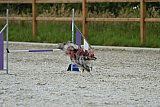 zomer wedstrijd someren zaterdag