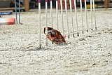 zomer wedstrijd someren zaterdag