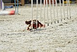 zomer wedstrijd someren zaterdag