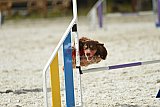 zomer wedstrijd someren zaterdag