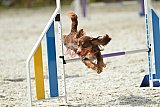 zomer wedstrijd someren zaterdag