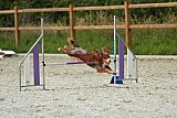 zomer wedstrijd someren zaterdag