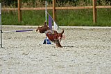 zomer wedstrijd someren zaterdag