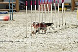 zomer wedstrijd someren zaterdag