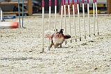 zomer wedstrijd someren zaterdag
