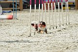 zomer wedstrijd someren zaterdag
