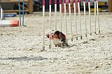 zomer wedstrijd someren zaterdag