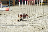 zomer wedstrijd someren zaterdag