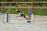 zomer wedstrijd someren zaterdag