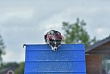 zomer wedstrijd someren zondag