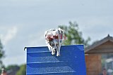 zomer wedstrijd someren zondag