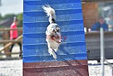zomer wedstrijd someren zondag