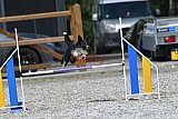zomer wedstrijd someren zondag