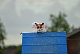 zomer wedstrijd someren zondag