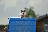 zomer wedstrijd someren zondag