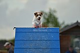 zomer wedstrijd someren zondag