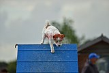 zomer wedstrijd someren zondag