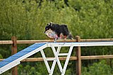 zomer wedstrijd someren zondag