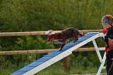 zomer wedstrijd someren zondag