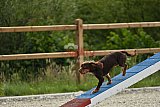 zomer wedstrijd someren zondag