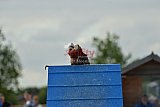 zomer wedstrijd someren zondag