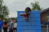zomer wedstrijd someren zondag