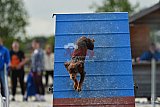 zomer wedstrijd someren zondag