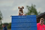 zomer wedstrijd someren zondag