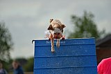 zomer wedstrijd someren zondag