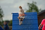 zomer wedstrijd someren zondag