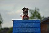 zomer wedstrijd someren zondag