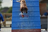 zomer wedstrijd someren zondag