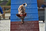 zomer wedstrijd someren zondag