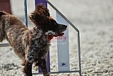 zomer wedstrijd someren zondag