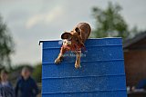 zomer wedstrijd someren zondag