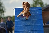 zomer wedstrijd someren zondag