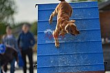 zomer wedstrijd someren zondag