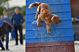 zomer wedstrijd someren zondag