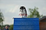 zomer wedstrijd someren zondag