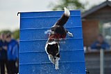 zomer wedstrijd someren zondag