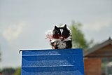 zomer wedstrijd someren zondag