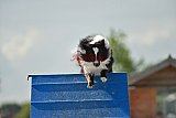 zomer wedstrijd someren zondag